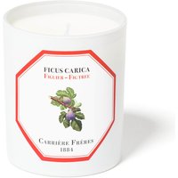 Carrière Frères Scented Candle Fig Tree - Ficus Carica - 185 g
Carrière Frères Scented Candle Fig Tree - Ficus Carica - 185 g