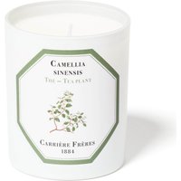 Carrière Frères Scented Candle Tea Plant - Camellia Sinensis - 185 g
Carrière Frères Scented Candle Tea Plant - Camellia Sinensis - 185 g