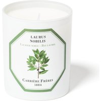 Carrière Frères Scented Candle Bay Laurel - Laurus Nobilis - 185 g
Carrière Frères Scented Candle Bay Laurel - Laurus Nobilis - 185 g