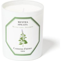 Carrière Frères Scented Candle Spearmint - Mentha Spicata - 185 g
Carrière Frères Scented Candle Spearmint - Mentha Spicata - 185 g
