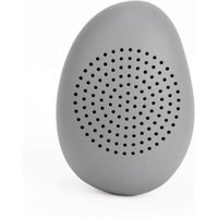 Micro Pebble Speaker
Micro Pebble Speaker