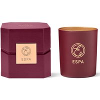 Ароматическая свеча ESPA Winter Spice Deluxe Candle
Ароматическая свеча ESPA Winter Spice Deluxe Candle