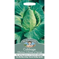 Mr. Fothergill's Cabbage Offenham 2 Flower Of Spring (Brassica Oleracea Capitata) Seeds
Mr. Fothergill's Cabbage Offenham 2 Flower Of Spring (Brassica Oleracea Capitata) Seeds