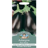 Aubergine Black Beauty Seeds
Aubergine Black Beauty Seeds