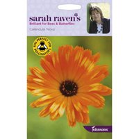 Sarah Ravens Calendula Pot Marigold Nova Seeds 
Sarah Ravens Calendula Pot Marigold Nova Seeds