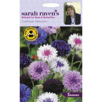Sarah Ravens Cornflower Polka Dot Seeds
Sarah Ravens Cornflower Polka Dot Seeds