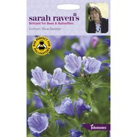 Sarah Ravens Echium Blue Bedder Seeds
Sarah Ravens Echium Blue Bedder Seeds