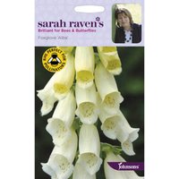 Sarah Ravens Foxglove Alba Seeds
Sarah Ravens Foxglove Alba Seeds