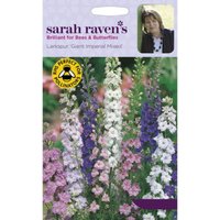 Sarah Ravens Larkspur Giant Imperial Mixed Seeds
Sarah Ravens Larkspur Giant Imperial Mixed Seeds