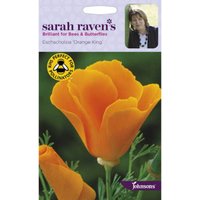 Sarah Ravens Eschscholzia Orange King Seeds 
Sarah Ravens Eschscholzia Orange King Seeds