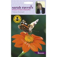 Sarah Ravens Tithonia Torchlight Seeds
Sarah Ravens Tithonia Torchlight Seeds