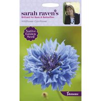 Sarah Ravens Wildflower Cornflower Seeds
Sarah Ravens Wildflower Cornflower Seeds