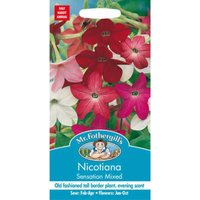Mr. Fothergill's Nicotiana Sensation Mixed Seeds
Mr. Fothergill's Nicotiana Sensation Mixed Seeds