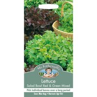 Mr. Fothergill's Lettuce Salad Bowl Seeds - Red And Green
Mr. Fothergill's Lettuce Salad Bowl Seeds - Red And Green