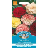 Mr. Fothergill's Carnation Choice Double Mixed Seeds
Mr. Fothergill's Carnation Choice Double Mixed Seeds