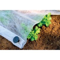 Plant Protection Fleece - 4.5 x 2.2m
Plant Protection Fleece - 4.5 x 2.2m