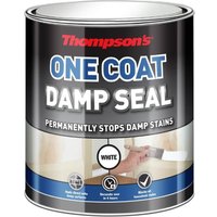 Thompsons White One Coat Damp Seal - 250ml
Thompsons White One Coat Damp Seal - 250ml