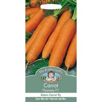 Mr. Fothergill's Carrot Flyaway F1 (Daucus Carota) Seeds
Mr. Fothergill's Carrot Flyaway F1 (Daucus Carota) Seeds