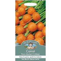 Mr. Fothergill's Carrot Paris Market 5 Atlas (Daucus Carota) Seeds
Mr. Fothergill's Carrot Paris Market 5 Atlas (Daucus Carota) Seeds