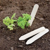 Pack of 25 Wooden Plant Labels - 13cm
Pack of 25 Wooden Plant Labels - 13cm