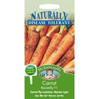 Mr. Fothergill's Carrot Resistafly F1 (Daucus Carota) Seeds
Mr. Fothergill's Carrot Resistafly F1 (Daucus Carota) Seeds