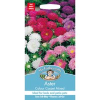 Mr. Fothergill's Aster Colour Carpet Mixed Seeds 
Mr. Fothergill's Aster Colour Carpet Mixed Seeds