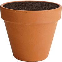 Terracotta Plant Pot - 15cm
Terracotta Plant Pot - 15cm