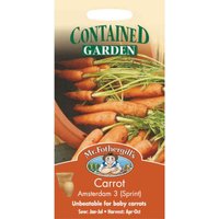 Mr. Fothergill's Carrot Amsterdam 3 Sprint (Daucus Carota) Seeds
Mr. Fothergill's Carrot Amsterdam 3 Sprint (Daucus Carota) Seeds
