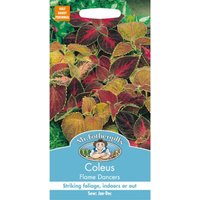 Mr. Fothergill's Coleus Flame Dancers Seeds
Mr. Fothergill's Coleus Flame Dancers Seeds