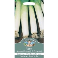 Leek Autumn Mammoth 2 Snowstar (Allium Porrum) Seeds
Leek Autumn Mammoth 2 Snowstar (Allium Porrum) Seeds