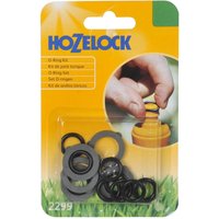 Hozelock Garden Spares Kit - Washers & O Rings
Hozelock Garden Spares Kit - Washers & O Rings