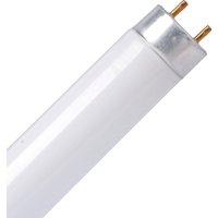 30W Warm White Tube Light Bulb
30W Warm White Tube Light Bulb