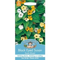 Mr. Fothergill's Black Eyed Susan Susie Mixed (Thunbergia Alata) Seeds
Mr. Fothergill's Black Eyed Susan Susie Mixed (Thunbergia Alata) Seeds