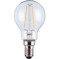 LED Filament Mini Globe SES 2.5W Light Bulb
LED Filament Mini Globe SES 2.5W Light Bulb
