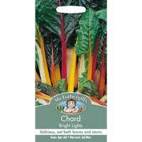 Mr. Fothergill's Chard Bright Lights (Beta Vulgaris) Seeds
Mr. Fothergill's Chard Bright Lights (Beta Vulgaris) Seeds
