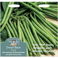 Mr. Fothergill's Dwarf Bean Rondo Seeds
Mr. Fothergill's Dwarf Bean Rondo Seeds