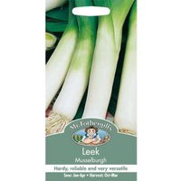 Mr. Fothergill's Leek Musselburgh (Allium Porrum) Seeds 
Mr. Fothergill's Leek Musselburgh (Allium Porrum) Seeds