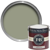 Farrow & Ball Modern Emulsion Lichen - 2.5L
Farrow & Ball Modern Emulsion Lichen - 2.5L