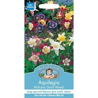 Mr. Fothergill's Aquilegia Mckana Giant Mixed (Aquilegia Cultorum) Seeds
Mr. Fothergill's Aquilegia Mckana Giant Mixed (Aquilegia Cultorum) Seeds