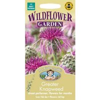 Mr. Fothergill's Greater Knapweed Seeds
Mr. Fothergill's Greater Knapweed Seeds