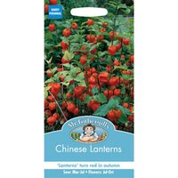 Mr. Fothergill's Chinese Lanterns (Physalis Alkekengi) Seeds
Mr. Fothergill's Chinese Lanterns (Physalis Alkekengi) Seeds