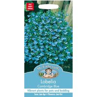 Mr. Fothergill's Lobelia Cambridge Blue Seeds
Mr. Fothergill's Lobelia Cambridge Blue Seeds