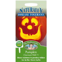 Mr. Fothergill's Pumpkin Charmant F1 Seeds
Mr. Fothergill's Pumpkin Charmant F1 Seeds