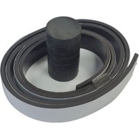 Assorted Loose Magnets - 8 Pack