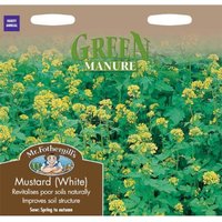 Mr. Fothergill's White Mustard Green Manure (Sinapis Alba) Seeds
Mr. Fothergill's White Mustard Green Manure (Sinapis Alba) Seeds