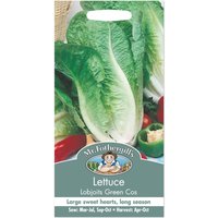 Mr. Fothergill's Lettuce Lobjoits Green Cos Seeds
Mr. Fothergill's Lettuce Lobjoits Green Cos Seeds