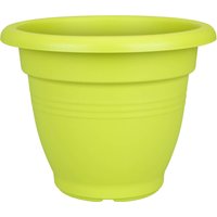 Campana Lime Pot - 30cm
Campana Lime Pot - 30cm