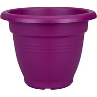 Campana Fuchsia Pot - 30cm
Campana Fuchsia Pot - 30cm