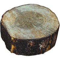 Log Stepping Stones
Log Stepping Stones