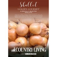 Country Living Shallot 'Golden Gourmet'
Country Living Shallot 'Golden Gourmet'